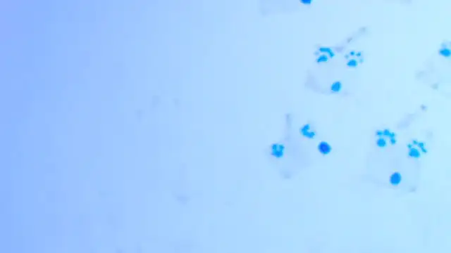 assbignatha online show from March 1, 5:09 am