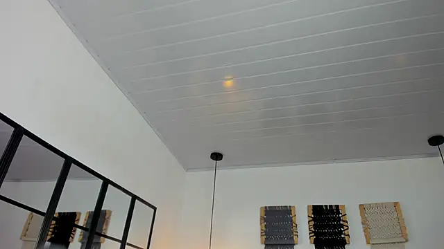 Sweet camille online show from January 12, 2:18 am