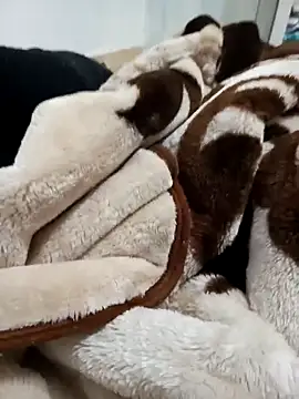 sami Maysa online show from January 17, 1:03 pm