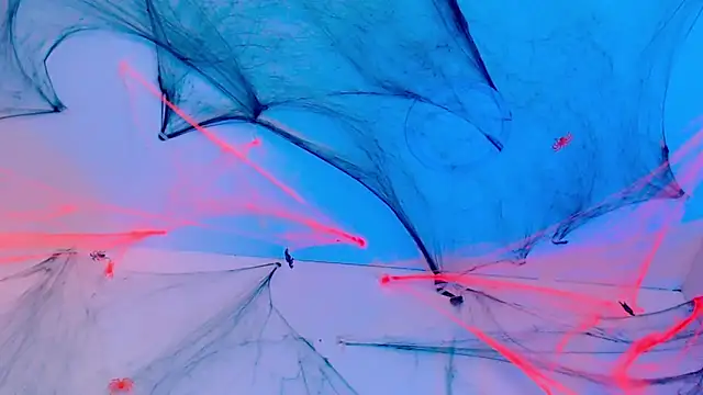 SashaNova online show from October 17, 6:17 am