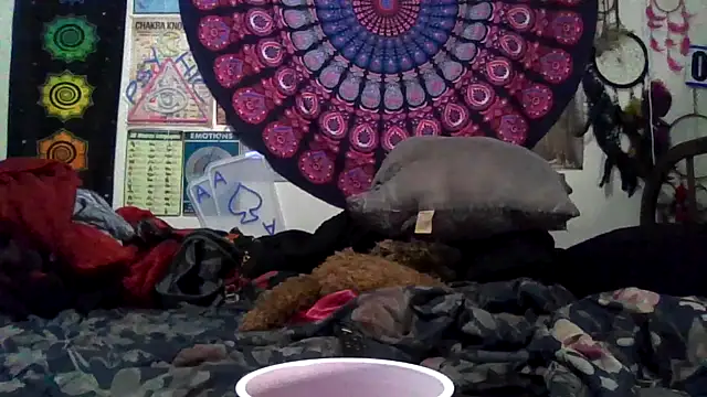 GardeniaFields online show from April 23, 9:28 am