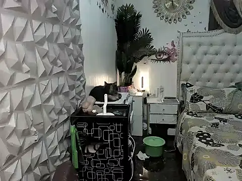 janecomander online show from March 2, 8:54 am