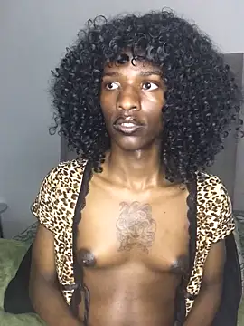 Trans fairy online show from October 2, 8:52 pm