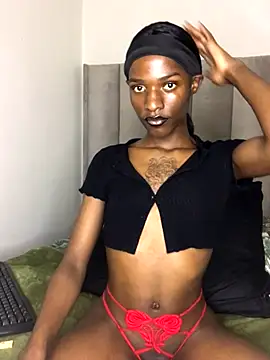 Trans fairy online show from October 13, 6:30 pm