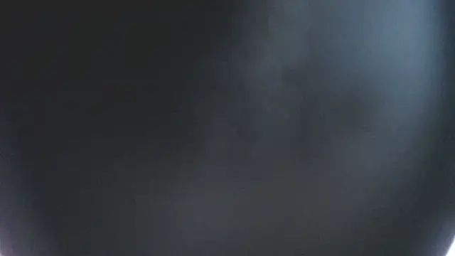 Stannlyy online show from December 23, 6:18 am