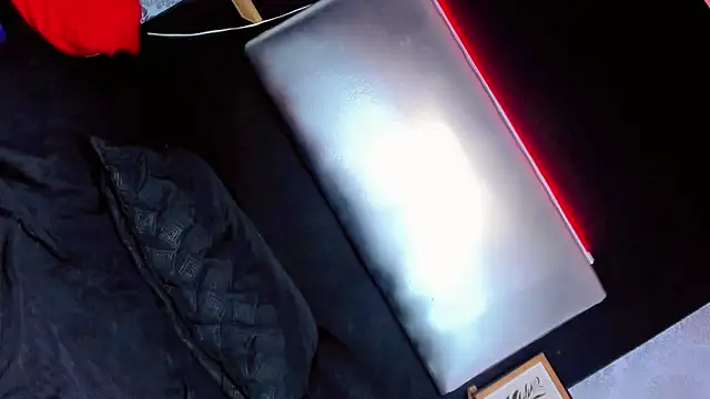 daniela dolls online show from November 13, 11:19 am