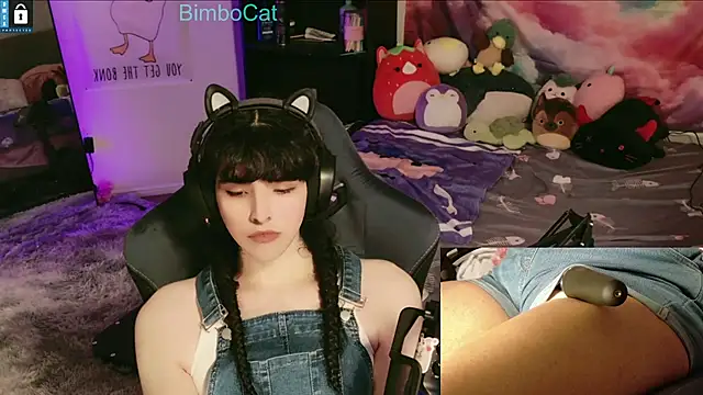 BimboCat online show from December 14, 1:11 am