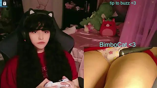 BimboCat online show from June 11, 8:29 pm