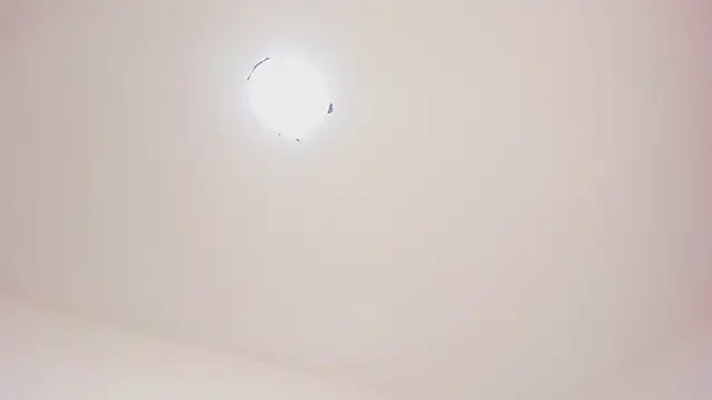 little tsgirl  online show from March 15, 2:14 am