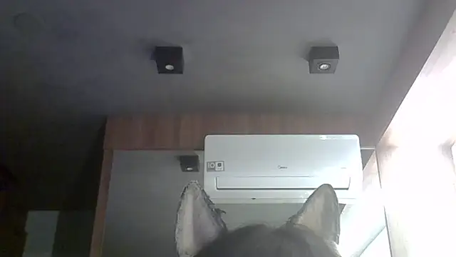 Skinny-Kitten online show from February 11, 4:42 am