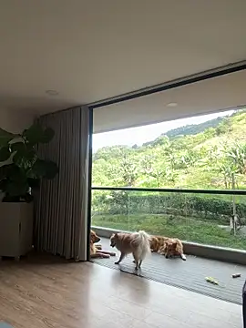 Helenbronwx online show from September 11, 8:39 pm