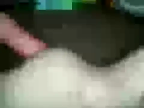 Snapshot of xxxlecram chatting on January 15, 2:35 pm xxxlecram online show from January 15, 2:35 pm